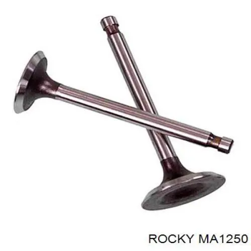 MA1250 Rocky клапан впускний