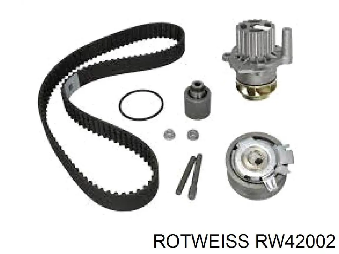 RW42002 Rotweiss Ремкомплект заднього гальмівного супорта
