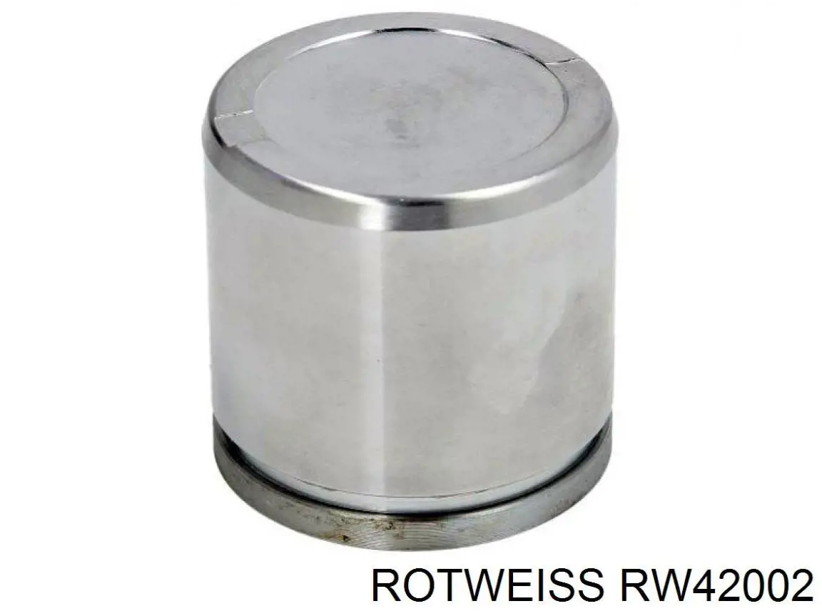 Купити RW42002 Rotweiss Супорт гальмівного, заднього