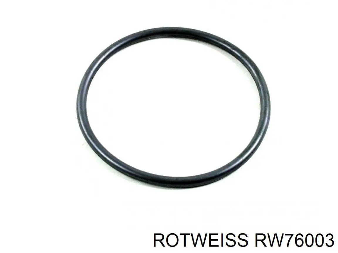 Ролик двері бічної/зсувної, правий нижній Rotweiss RW76003 ціна, від 15.83 USD