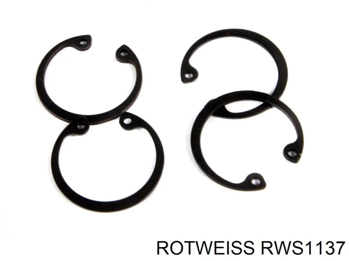 RWS1137 Rotweiss 