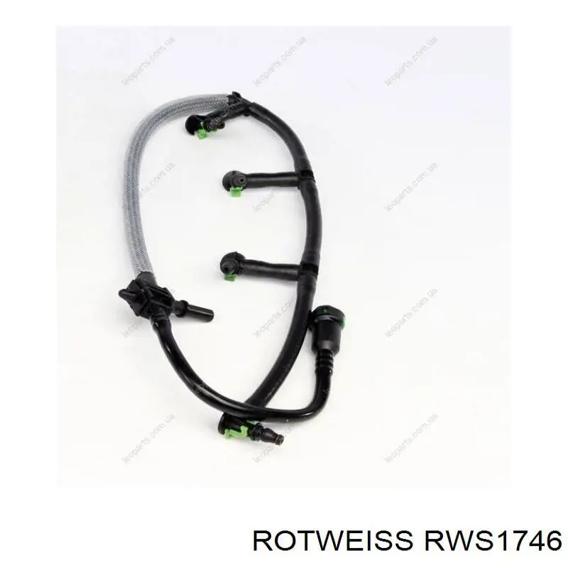 RWS1746 Rotweiss 