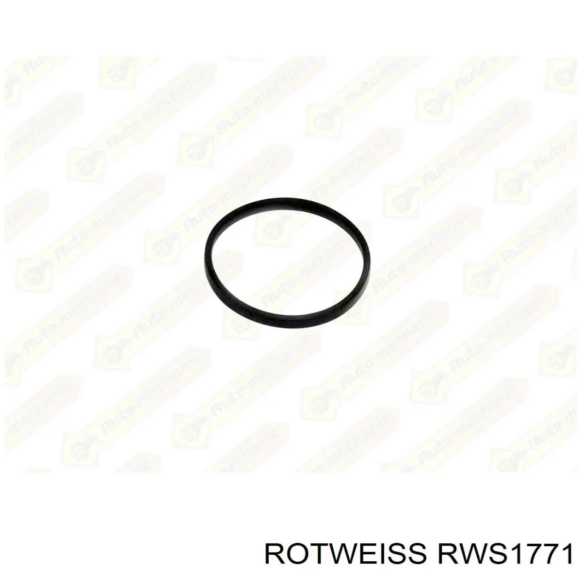 Купити RWS1771 Rotweiss Прокладка дросельної заслінки