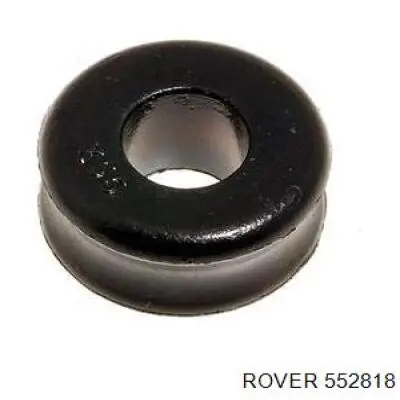  552818 Rover