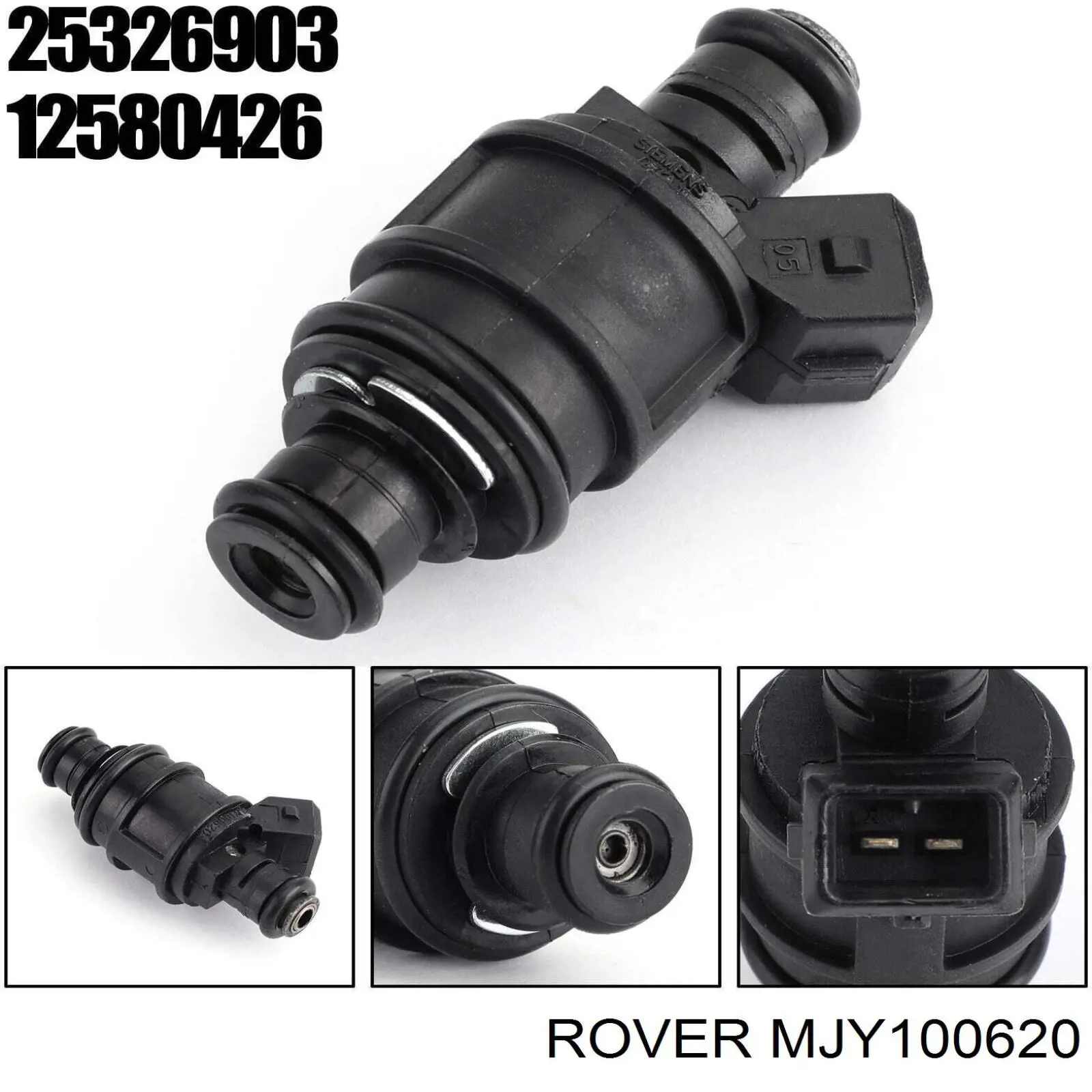  MJY100620 Rover