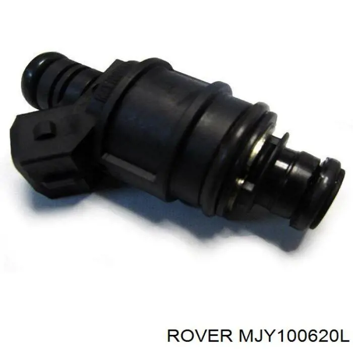  MJY100620L Rover