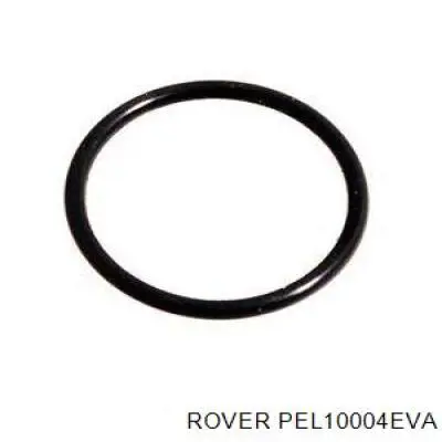 PEL10004EVA Rover Авто термостат