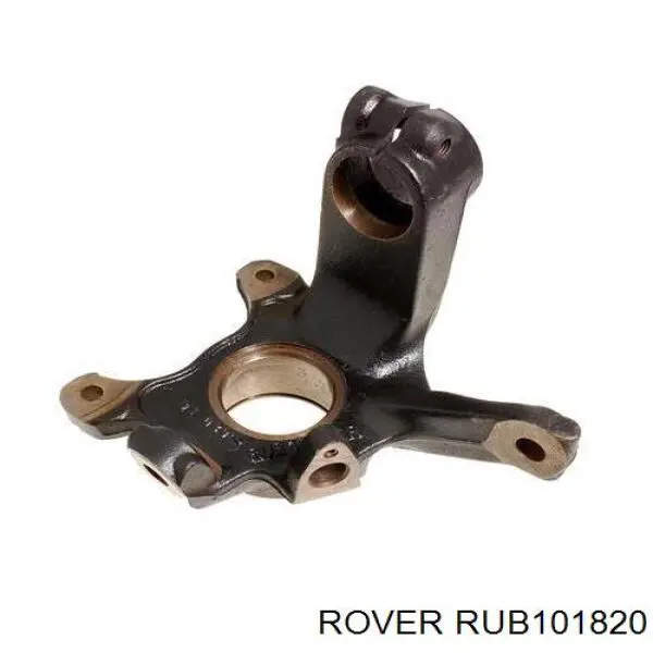 RUB101300 Rover Цапфа поворотного кулака