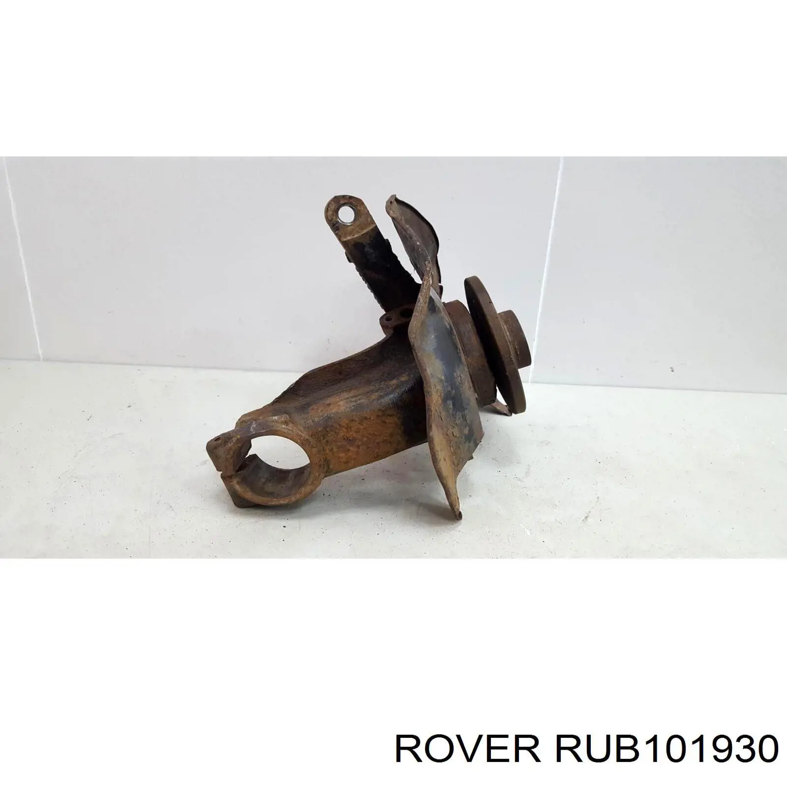 Купити RUB101930 Rover Цапфа поворотного кулака