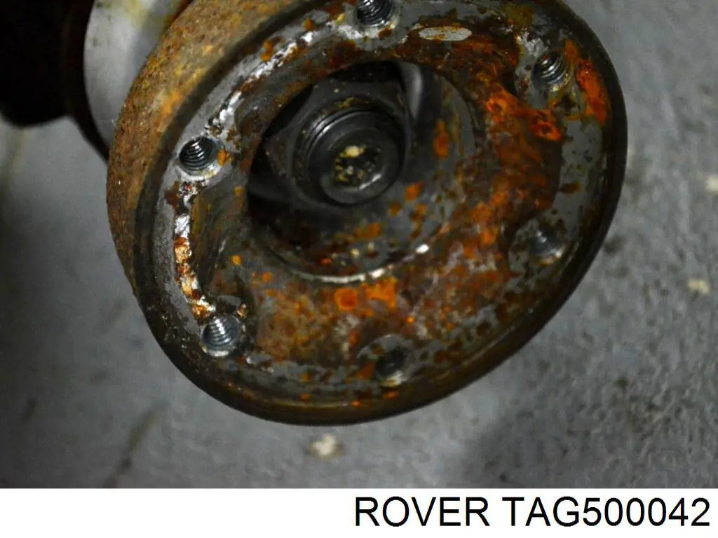 TAG500042 Rover 