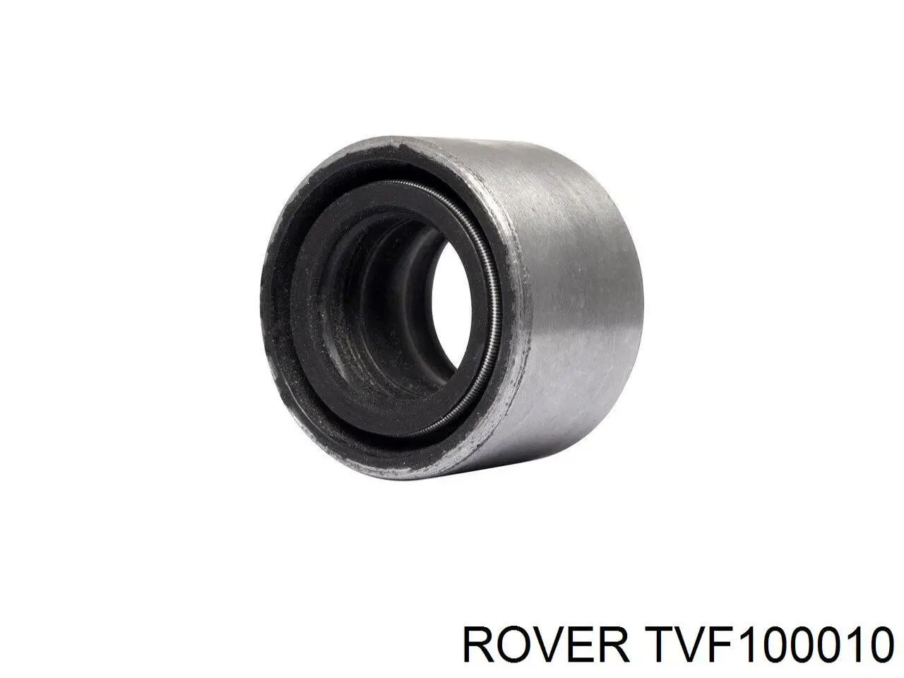  TVF100010 Rover