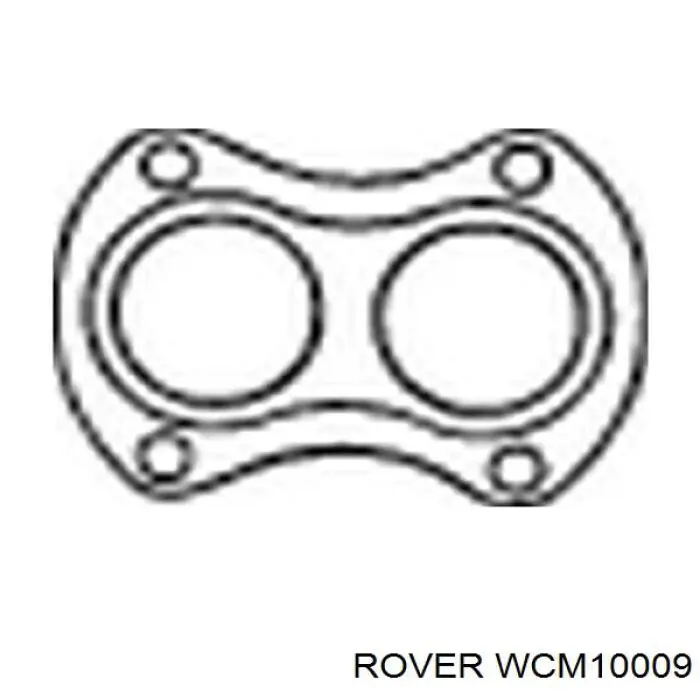  WCM10009 Rover