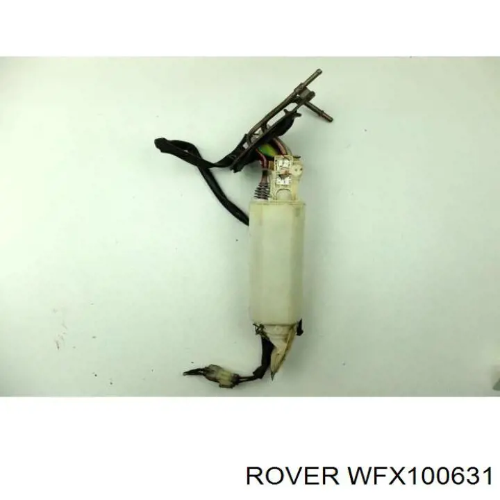  WFX100631 Rover