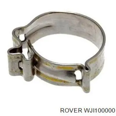 Фільтр паливний Rover WJI100000