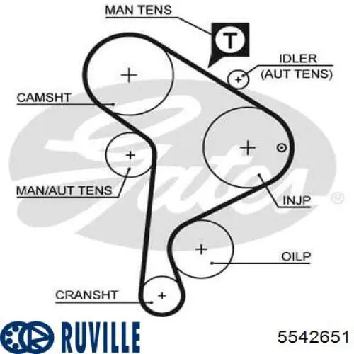 5542651 Ruville Ремінь ГРМ, комплект