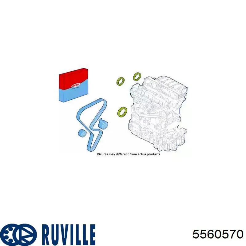 5560570 Ruville Ремінь ГРМ, комплект