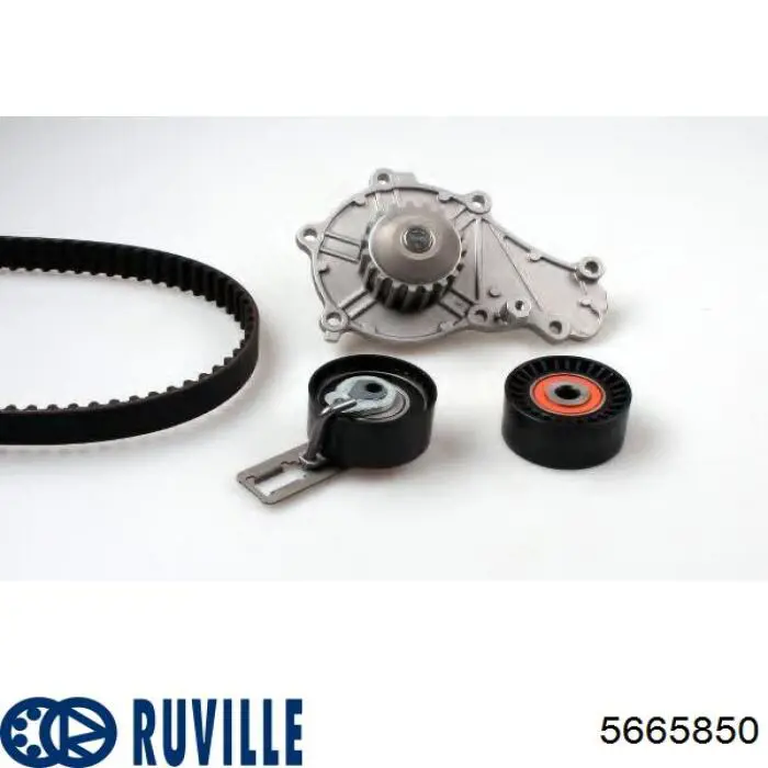 5665850 Ruville
