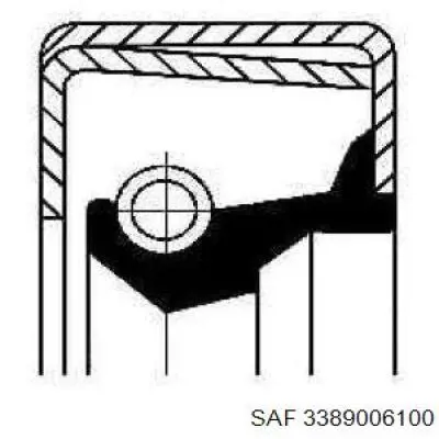 Купити 3389006100 SAF 