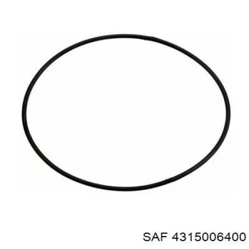 4315006400 SAF 