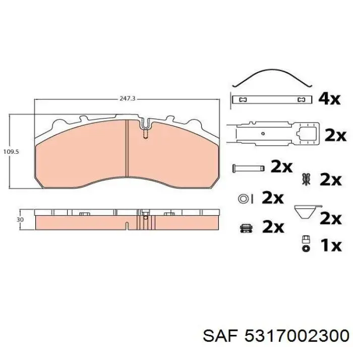 Колодки гальмові задні, дискові 5317002300 SAF