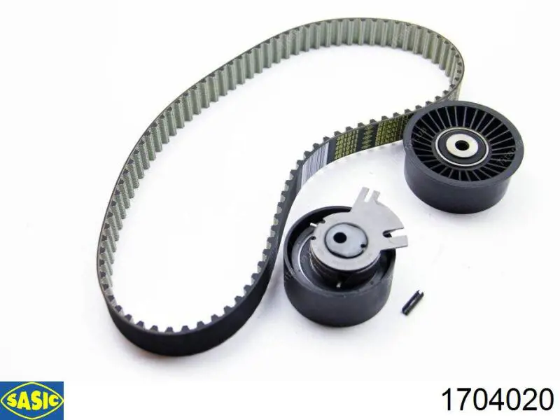 Купити 8200009194B Renault (RVI) Натяжний ролик