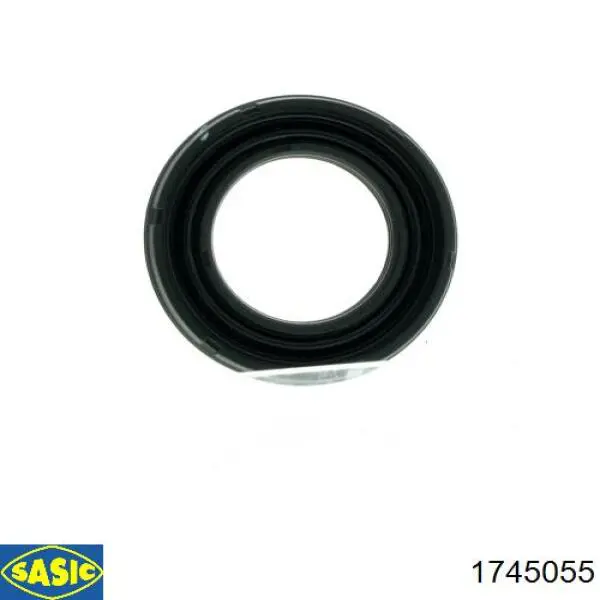 1745055 Sasic 