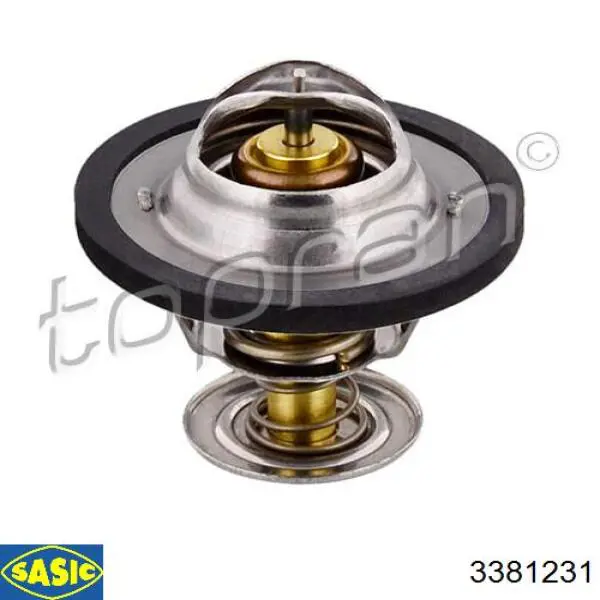 Купити 3381231 Sasic Термостат в корпусі