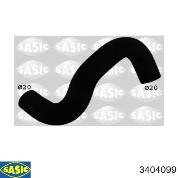 3404099 Sasic 