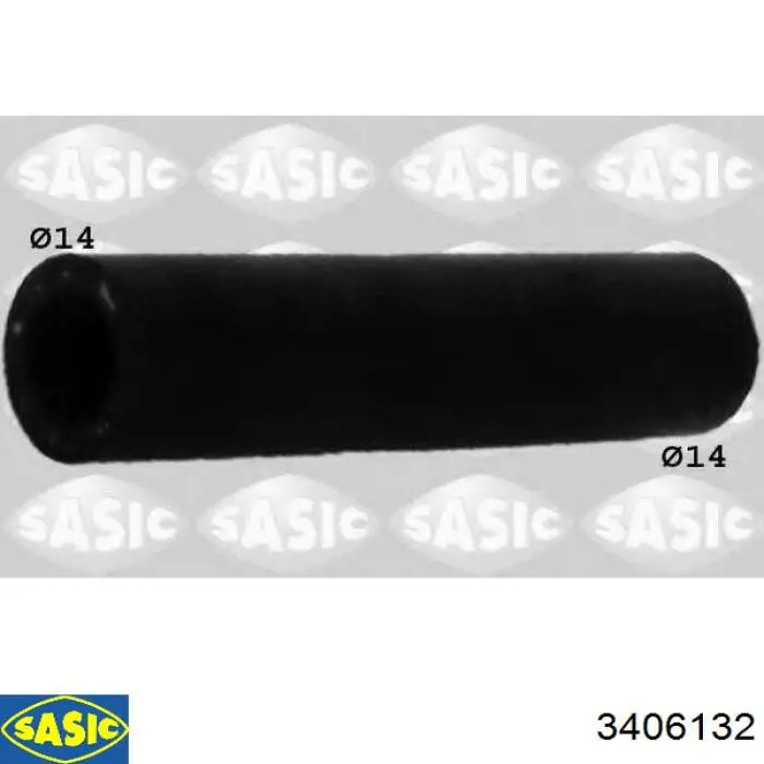 3406132 Sasic 