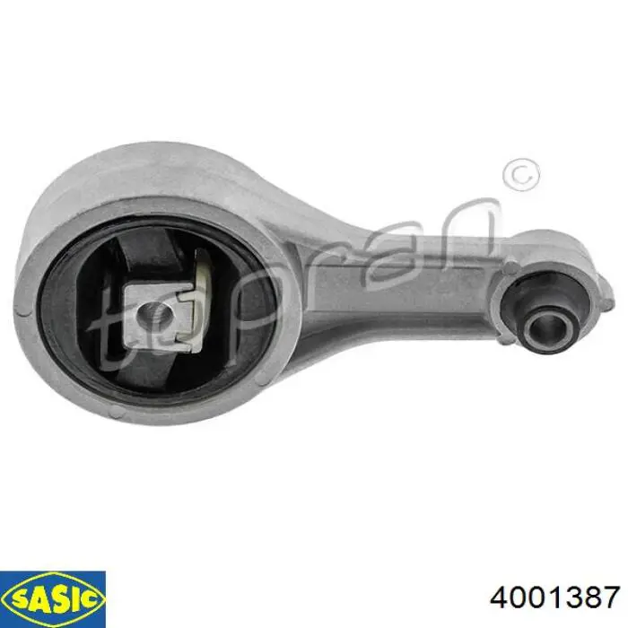 52007 Rapro Задня подушка двигуна