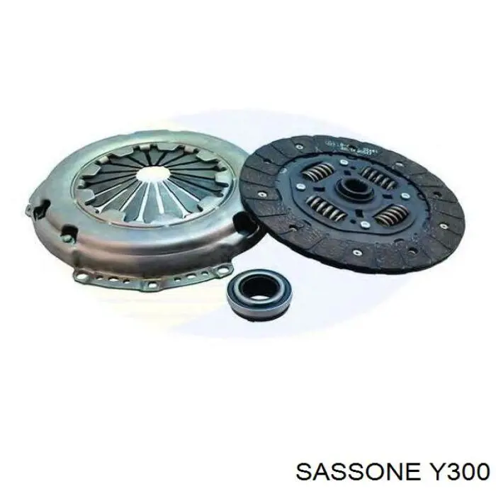 Y300 Sassone 