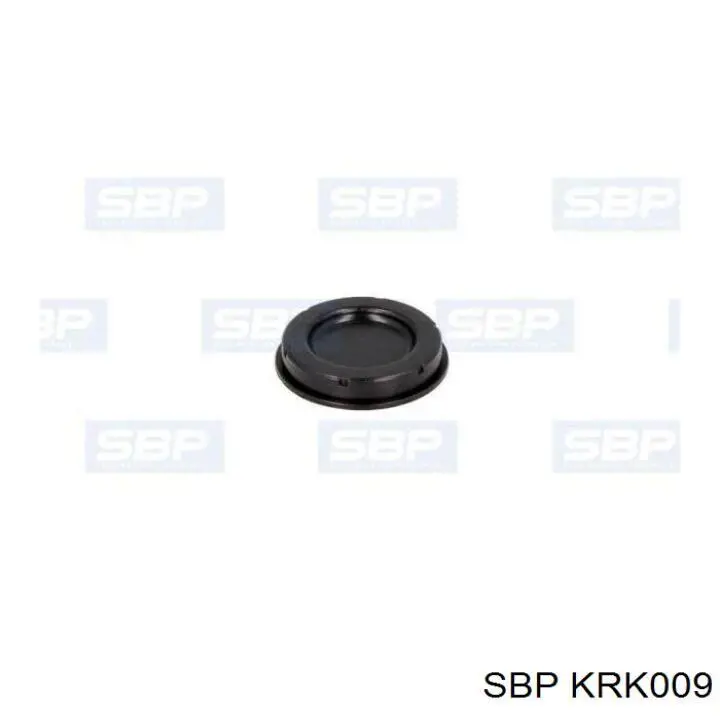 Купити KRK009 SBP 