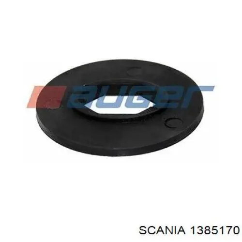  8031 SEM