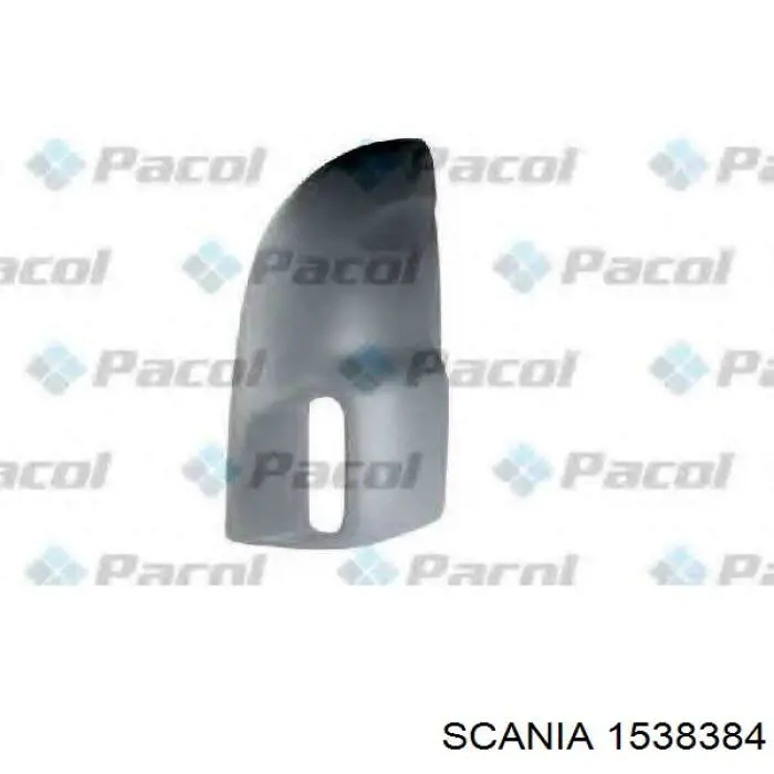 1538384 Scania Дефлектор кабіни, TRUCK