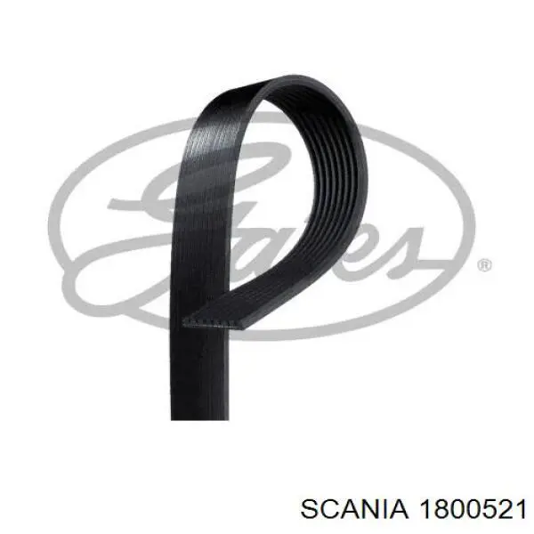 Клиновий ремінь Scania 1800521 ціна, від 19.61 USD