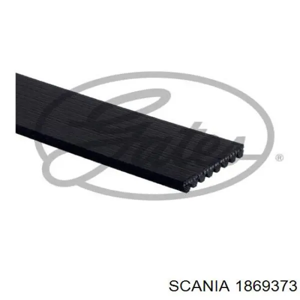 1869373 Scania Поліклиновий ремінь