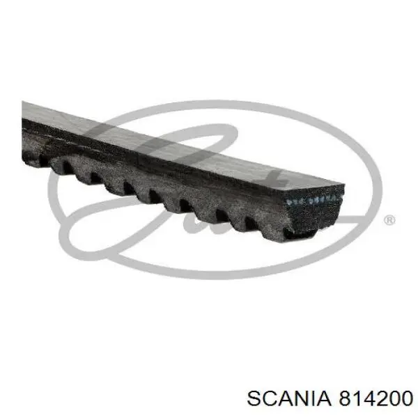 Клиновий ремінь Scania 814200 ціна, від 6.87 USD