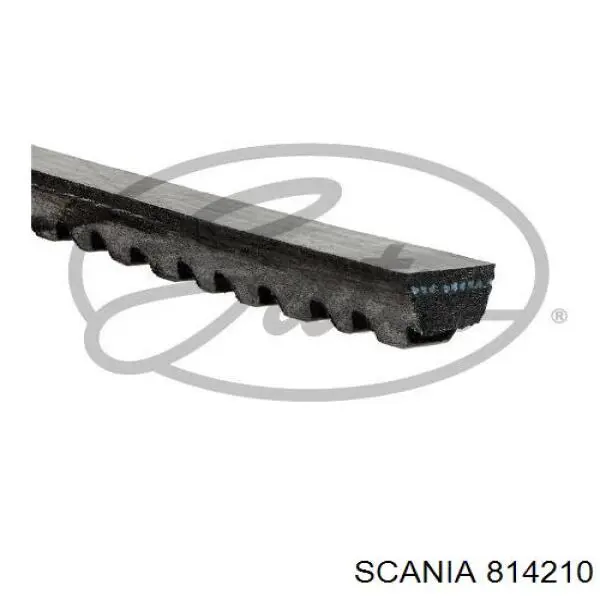 Купити 814210 Scania Ремінь генератора