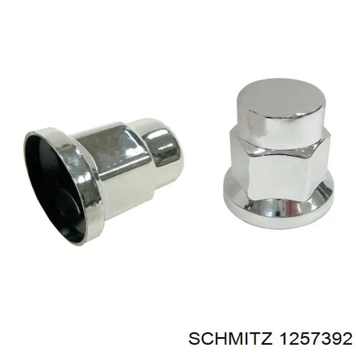 Купити 1257392 Schmitz 
