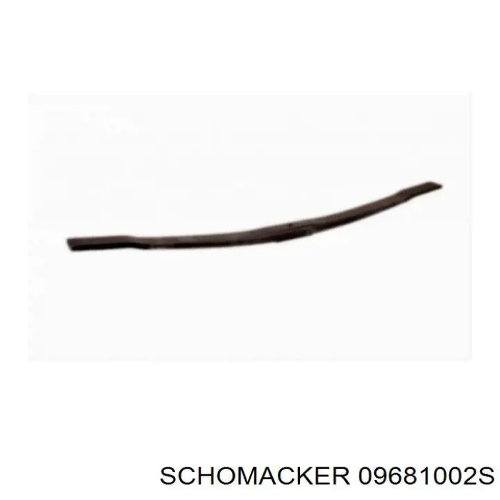 09681002S Schomacker 