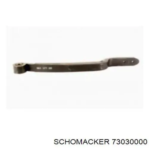 7303000019 TES 