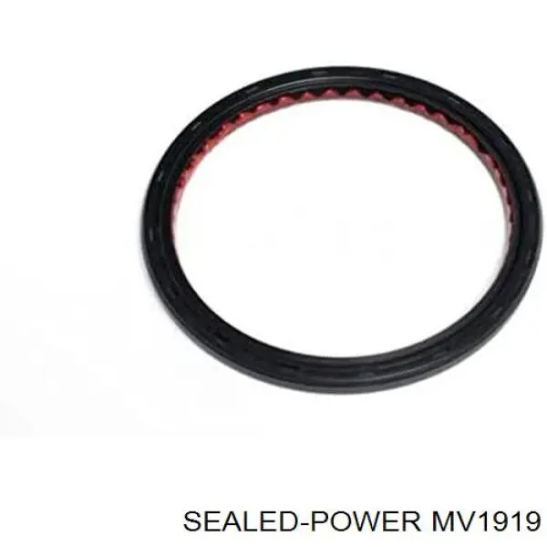 Купити MV1919 Sealed Power Сальник клапана