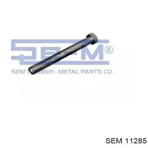 Купити STR4M30X200 STR Палець сережки задньої ресори