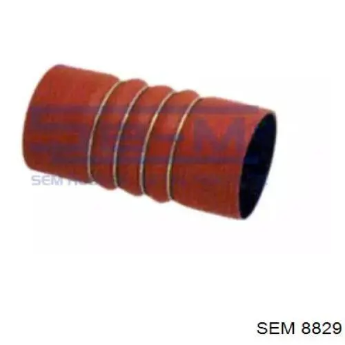 Купити SIME39 Thermotec 
