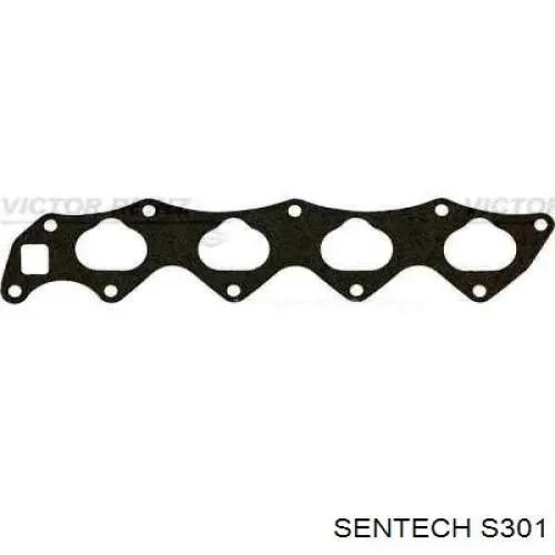  S301 Sentech
