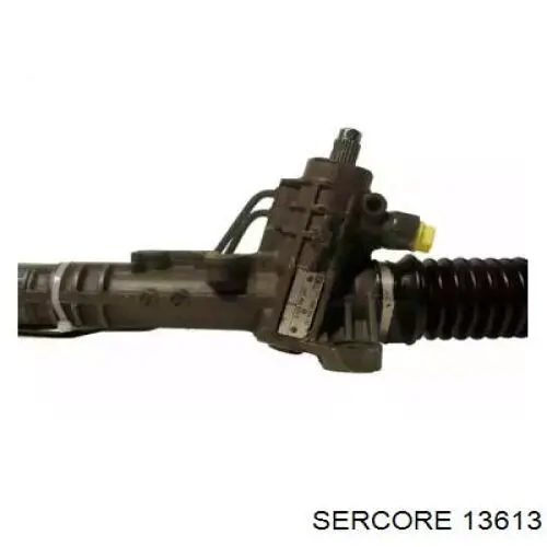  13613 Sercore