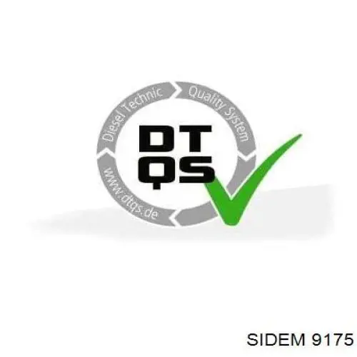 Важіль задньої підвіски верхній, лівий 9175 Sidem