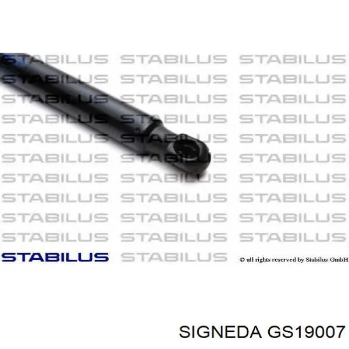 Купити GS19007 Signeda Амортизатор двері багажника