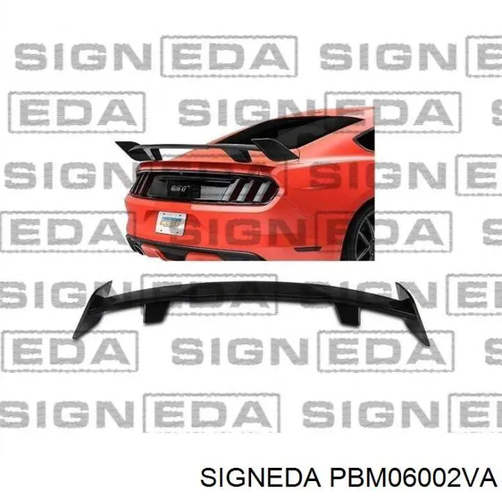  PBM06002VA Signeda