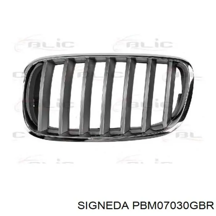 Решітка радіатора права PBM07030GBR Signeda